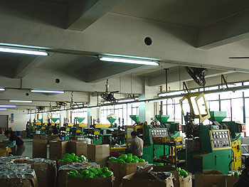 Factory Image 5